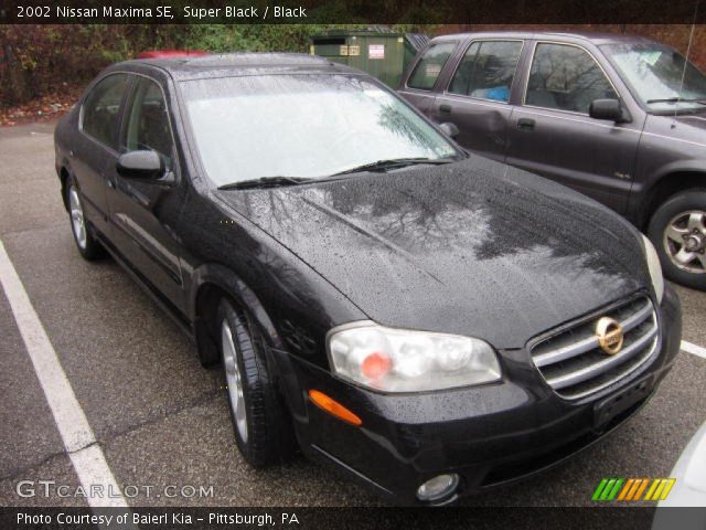 2002 Nissan Maxima SE in Super Black
