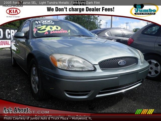 2005 Ford Taurus SEL in Light Tundra Metallic