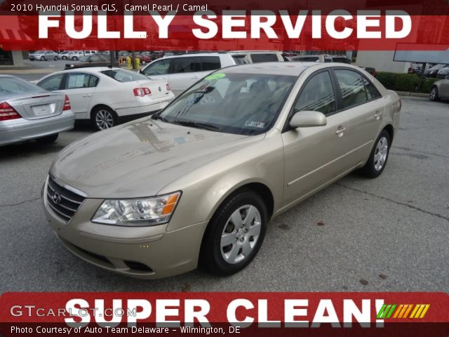 2010 Hyundai Sonata GLS in Camel Pearl