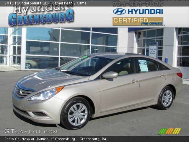 2011 Hyundai Sonata GLS in Camel Pearl