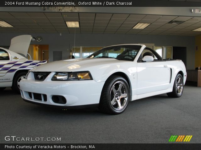 2004 Ford Mustang Cobra Convertible in Oxford White