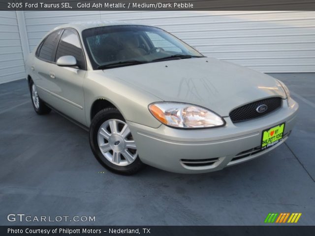 2005 Ford Taurus SEL in Gold Ash Metallic