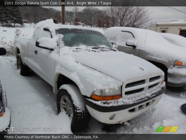 2003 Dodge Dakota Sport Club Cab 4x4 in Bright White