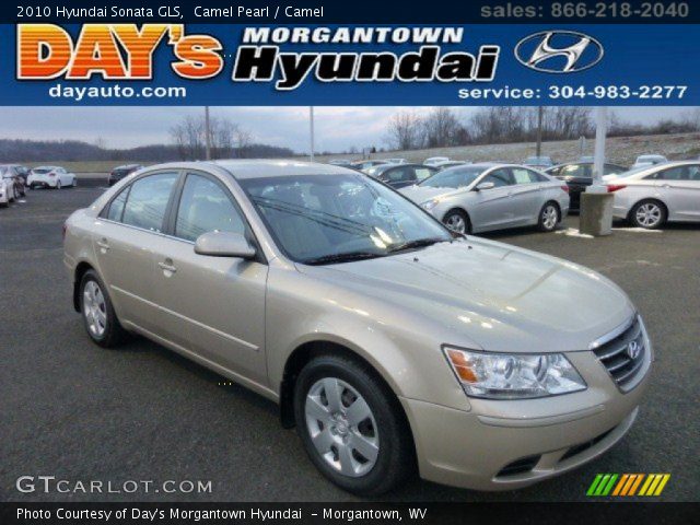 2010 Hyundai Sonata GLS in Camel Pearl