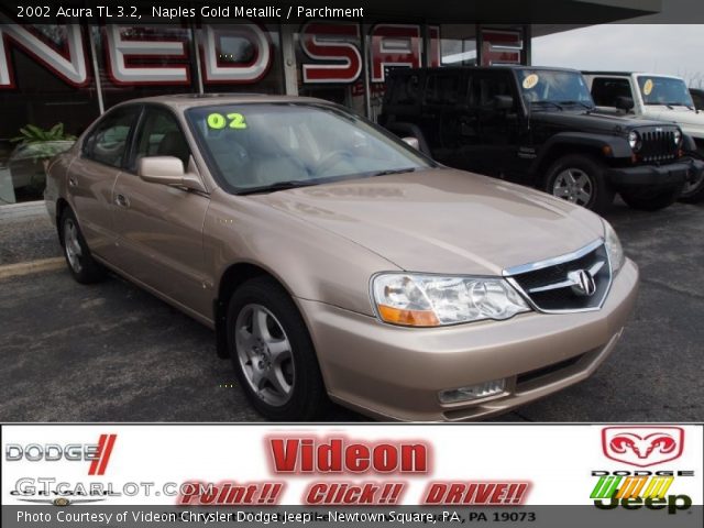 2002 Acura TL 3.2 in Naples Gold Metallic
