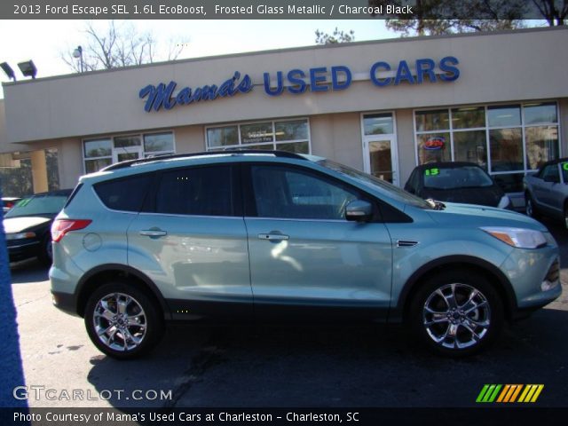 2013 Ford Escape SEL 1.6L EcoBoost in Frosted Glass Metallic