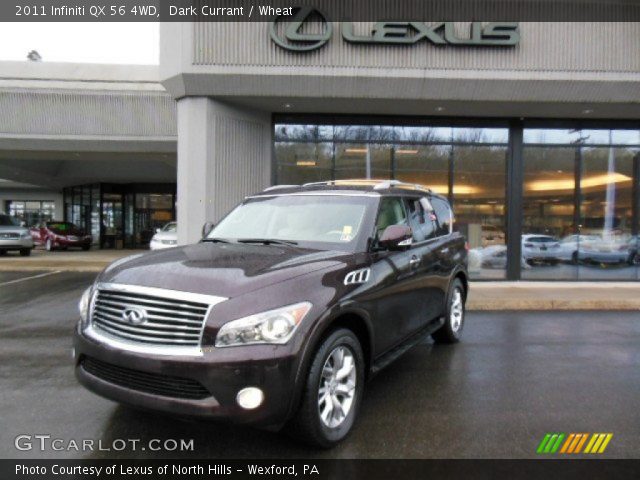 2011 Infiniti QX 56 4WD in Dark Currant