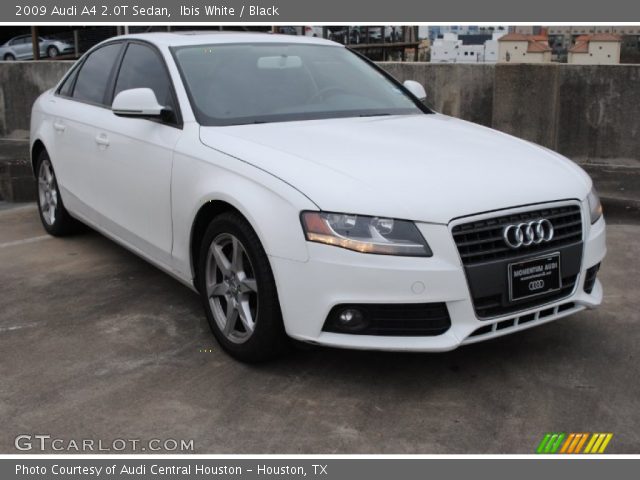 2009 Audi A4 2.0T Sedan in Ibis White