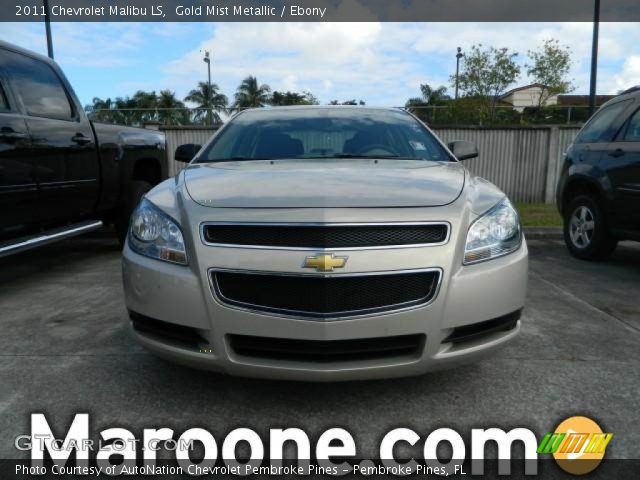 2011 Chevrolet Malibu LS in Gold Mist Metallic