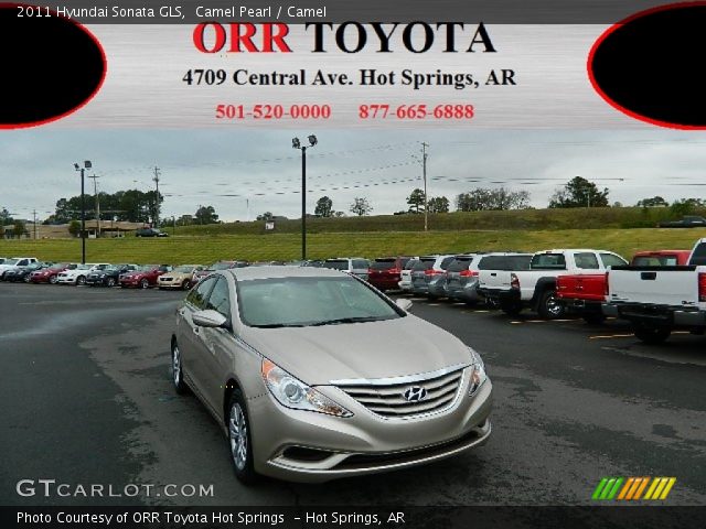 2011 Hyundai Sonata GLS in Camel Pearl
