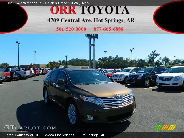 2009 Toyota Venza I4 in Golden Umber Mica