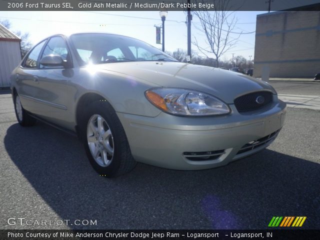 2006 Ford Taurus SEL in Gold Ash Metallic
