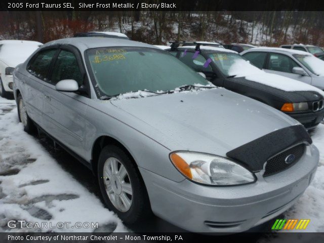 2005 Ford Taurus SEL in Silver Frost Metallic