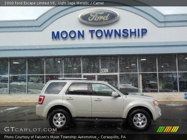 2009 Ford Escape Limited V6 in Light Sage Metallic