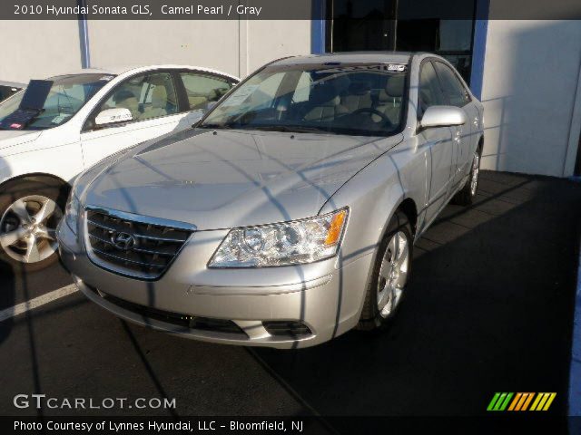 2010 Hyundai Sonata GLS in Camel Pearl