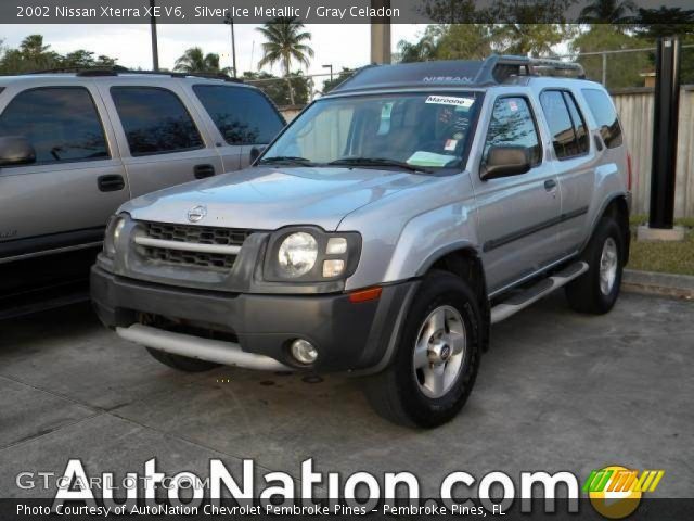 2002 Silver nissan xterra #4