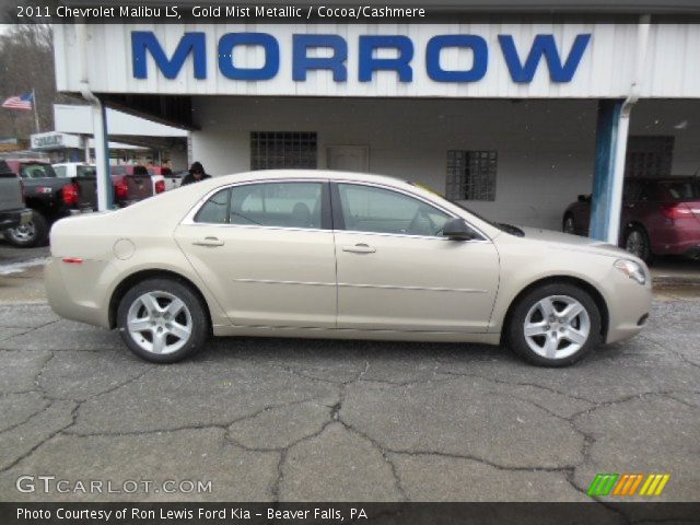 2011 Chevrolet Malibu LS in Gold Mist Metallic