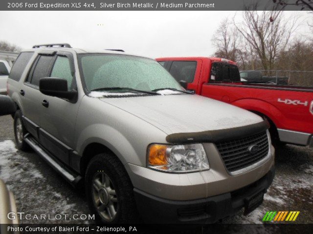 2006 Ford Expedition XLS 4x4 in Silver Birch Metallic