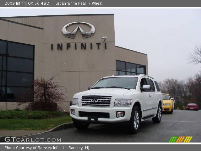 2009 Infiniti QX 56 4WD in Tuscan White Pearl