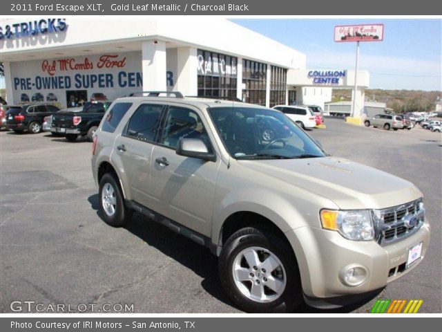 2011 Ford Escape XLT in Gold Leaf Metallic