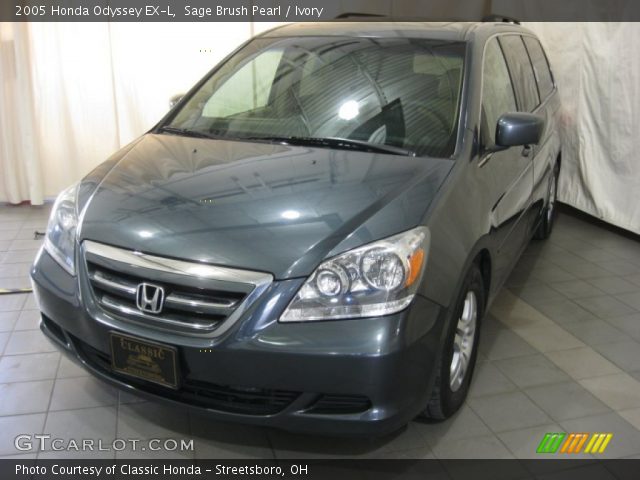 2005 Honda Odyssey EX-L in Sage Brush Pearl