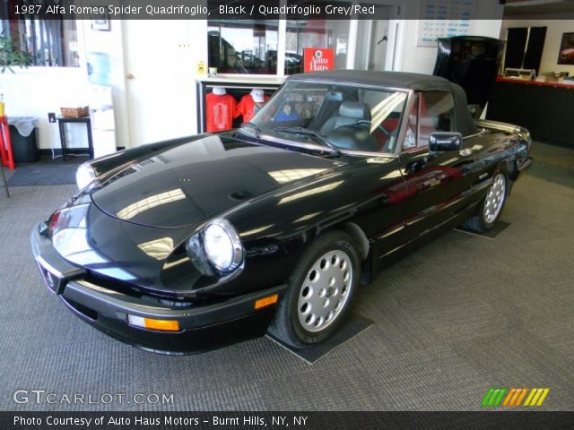 1987 Alfa Romeo Spider Quadrifoglio in Black