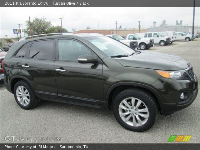 2011 Kia Sorento EX V6 in Tuscan Olive