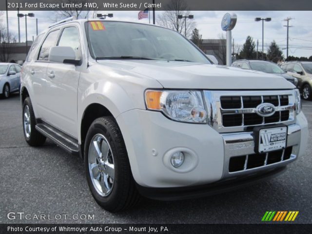 2011 Ford Escape Limited 4WD in White Suede