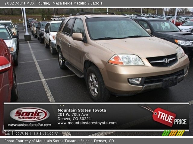 2002 Acura MDX Touring in Mesa Beige Metallic