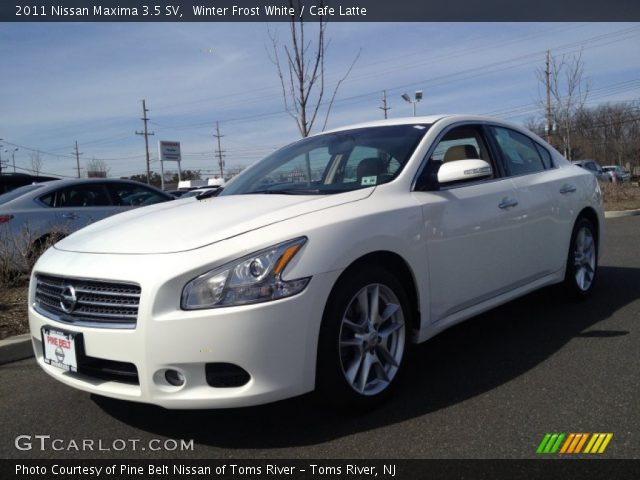 2011 Nissan Maxima 3.5 SV in Winter Frost White