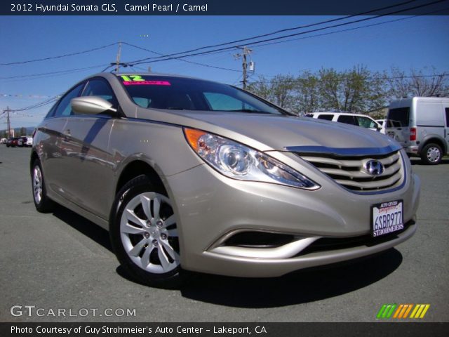 2012 Hyundai Sonata GLS in Camel Pearl