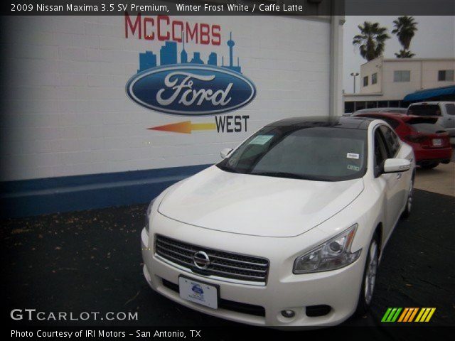 2009 Nissan Maxima 3.5 SV Premium in Winter Frost White