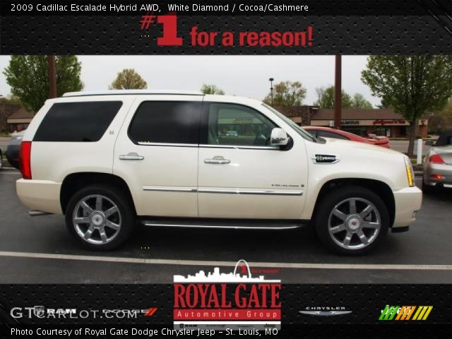 2009 Cadillac Escalade Hybrid AWD in White Diamond