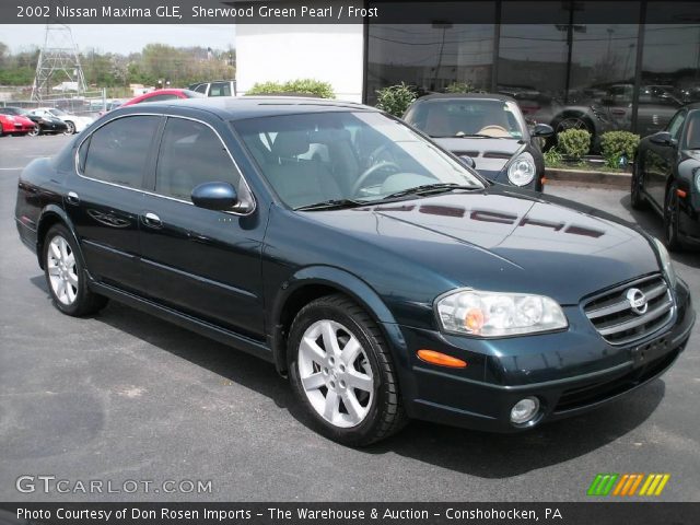 2002 Nissan Maxima GLE in Sherwood Green Pearl