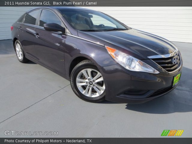 2011 Hyundai Sonata GLS in Black Plum Pearl