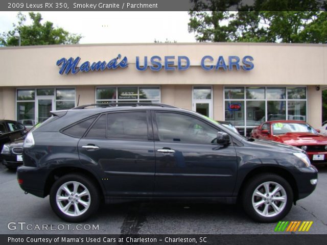 2009 Lexus RX 350 in Smokey Granite