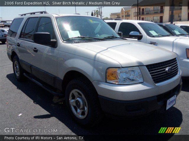 2006 Ford Expedition XLS in Silver Birch Metallic