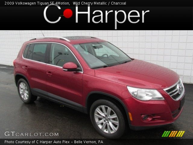 2009 Volkswagen Tiguan SE 4Motion in Wild Cherry Metallic