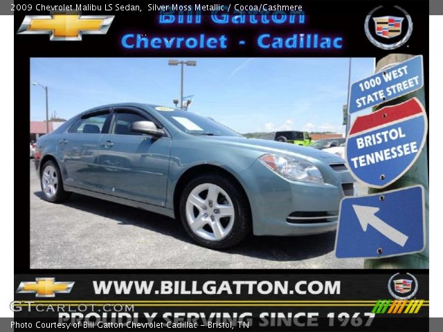 2009 Chevrolet Malibu LS Sedan in Silver Moss Metallic