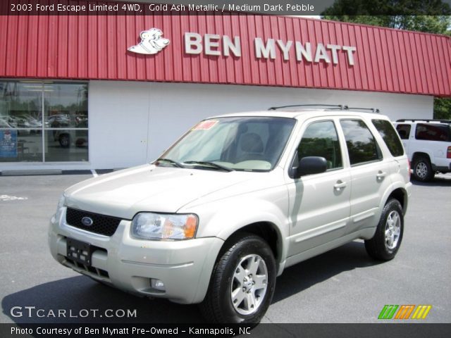 2003 Ford Escape Limited 4WD in Gold Ash Metallic