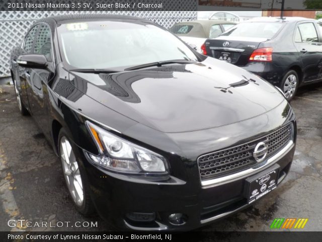 2011 Nissan Maxima 3.5 SV in Super Black
