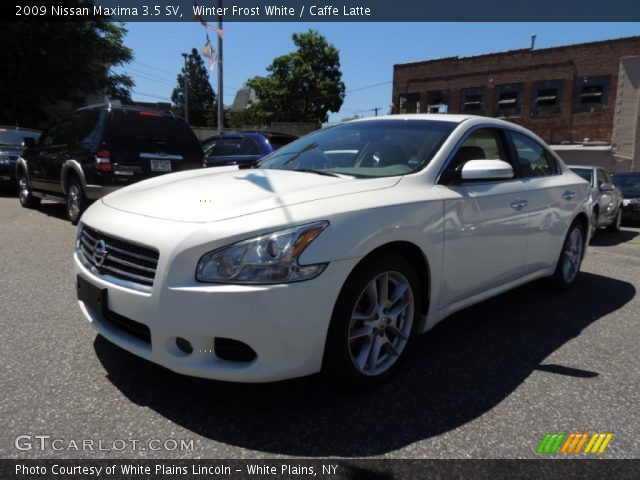 2009 Nissan Maxima 3.5 SV in Winter Frost White