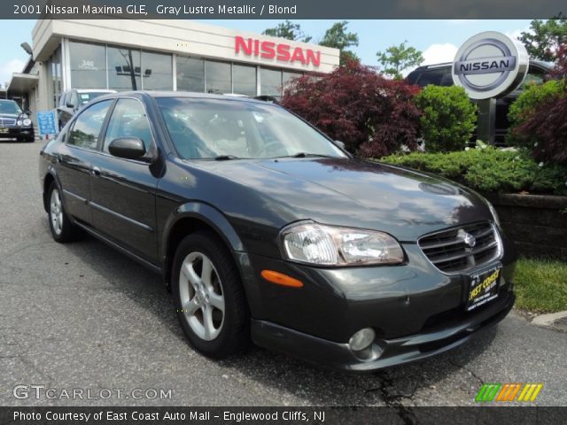 2001 Nissan Maxima GLE in Gray Lustre Metallic