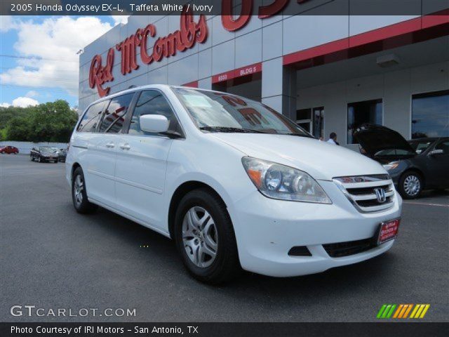 2005 Honda Odyssey EX-L in Taffeta White