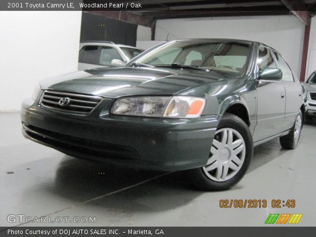 2001 Toyota Camry LE in Woodland Pearl
