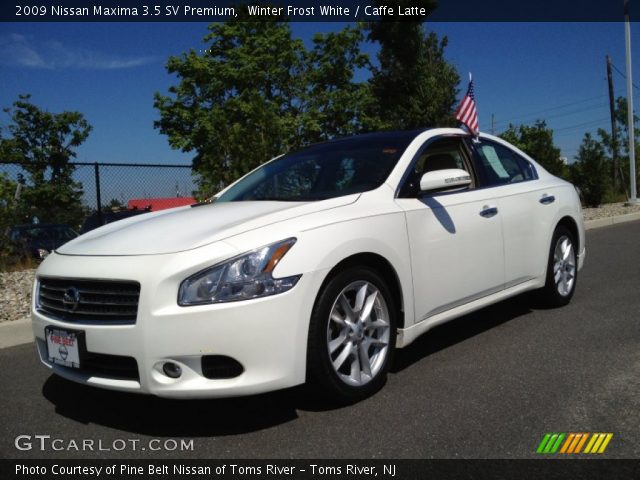 2009 Nissan Maxima 3.5 SV Premium in Winter Frost White
