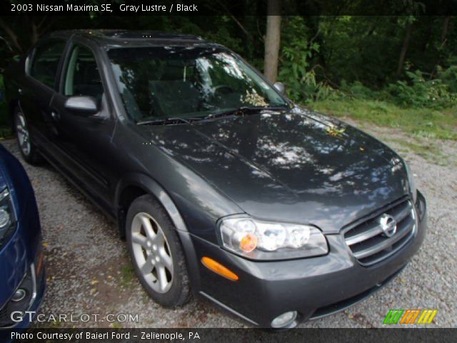 2003 Nissan Maxima SE in Gray Lustre