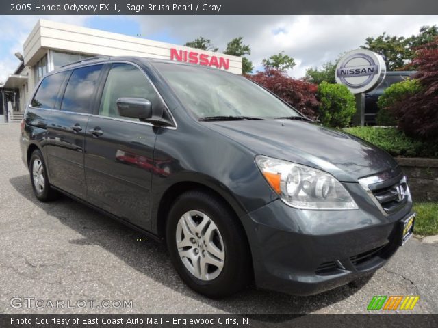 2005 Honda Odyssey EX-L in Sage Brush Pearl