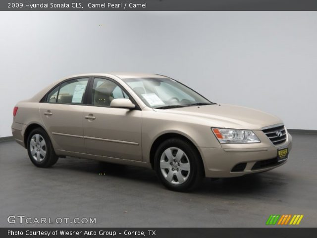 2009 Hyundai Sonata GLS in Camel Pearl