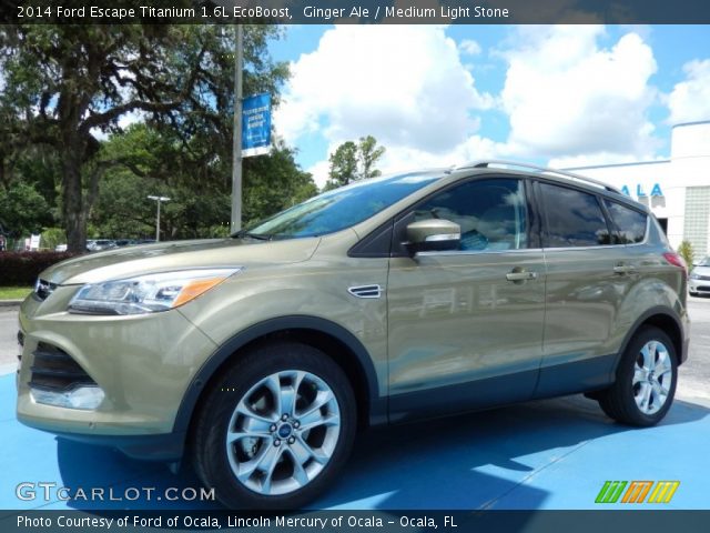 2014 Ford Escape Titanium 1.6L EcoBoost in Ginger Ale